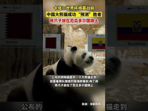 年北京奥运,巅峰之战,姚明率中国,乐彩,LeCai,乐彩注册网址,乐彩app,乐彩官网,乐彩网站,乐彩下载