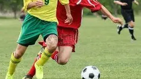 哈兰德酒宴论足球场，94场战记百球，谱写传奇新篇